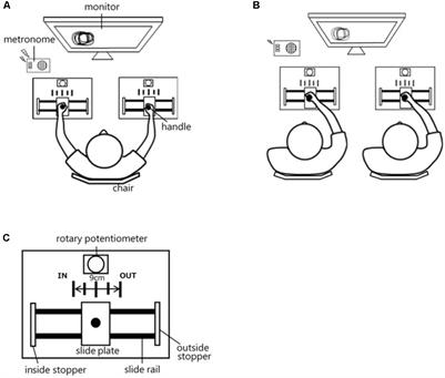 The Effect of Pairing Individuals With Different Social Skills on Interpersonal Motor Coordination